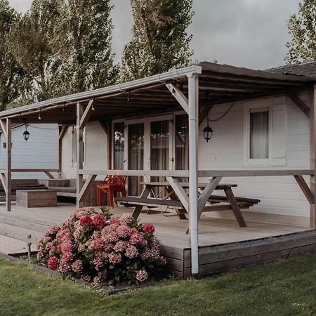 Chalet Tulpenweide - Recreatie Breezand Eksteriør bilde