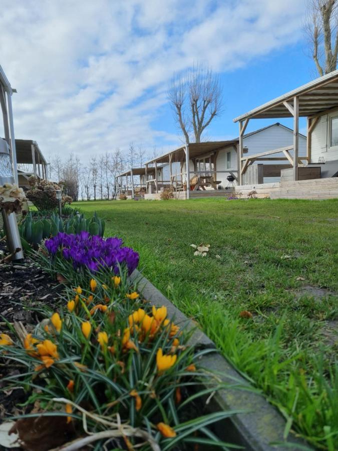 Chalet Tulpenweide - Recreatie Breezand Eksteriør bilde