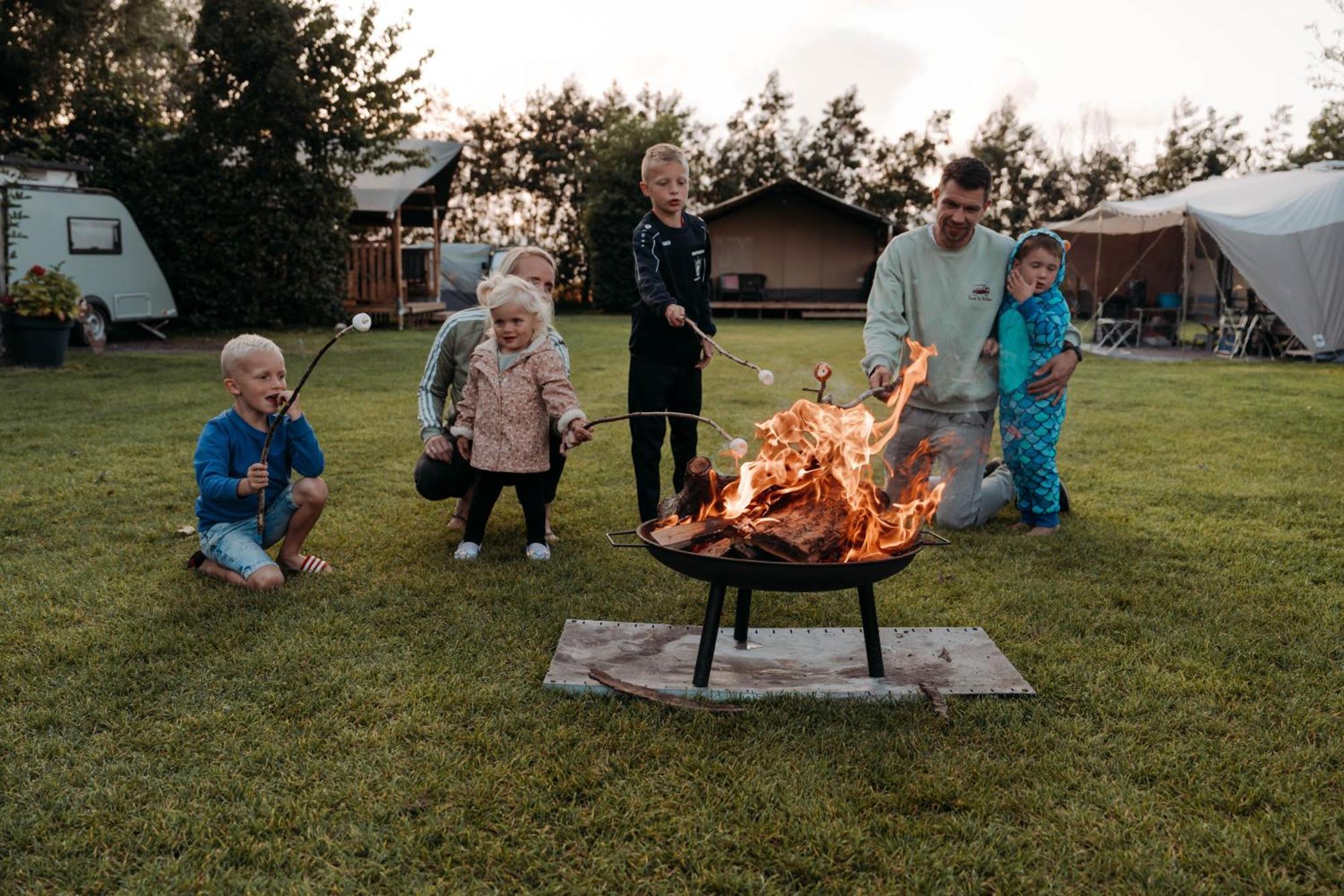 Chalet Tulpenweide - Recreatie Breezand Eksteriør bilde